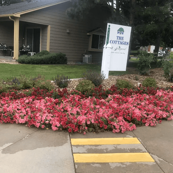 commercial landscaping