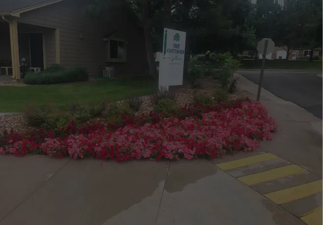 perennial garden installation